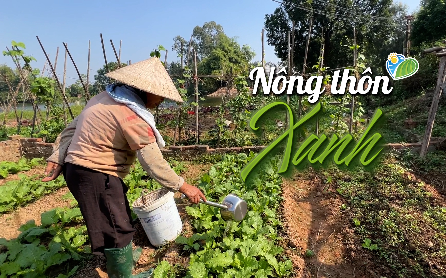 Nguồn nước tưới tiêu của nông dân Hà Nội, nhiều nơi, bị nhiễm bẩn bởi các cơ sở sản xuất gây ô nhiễm