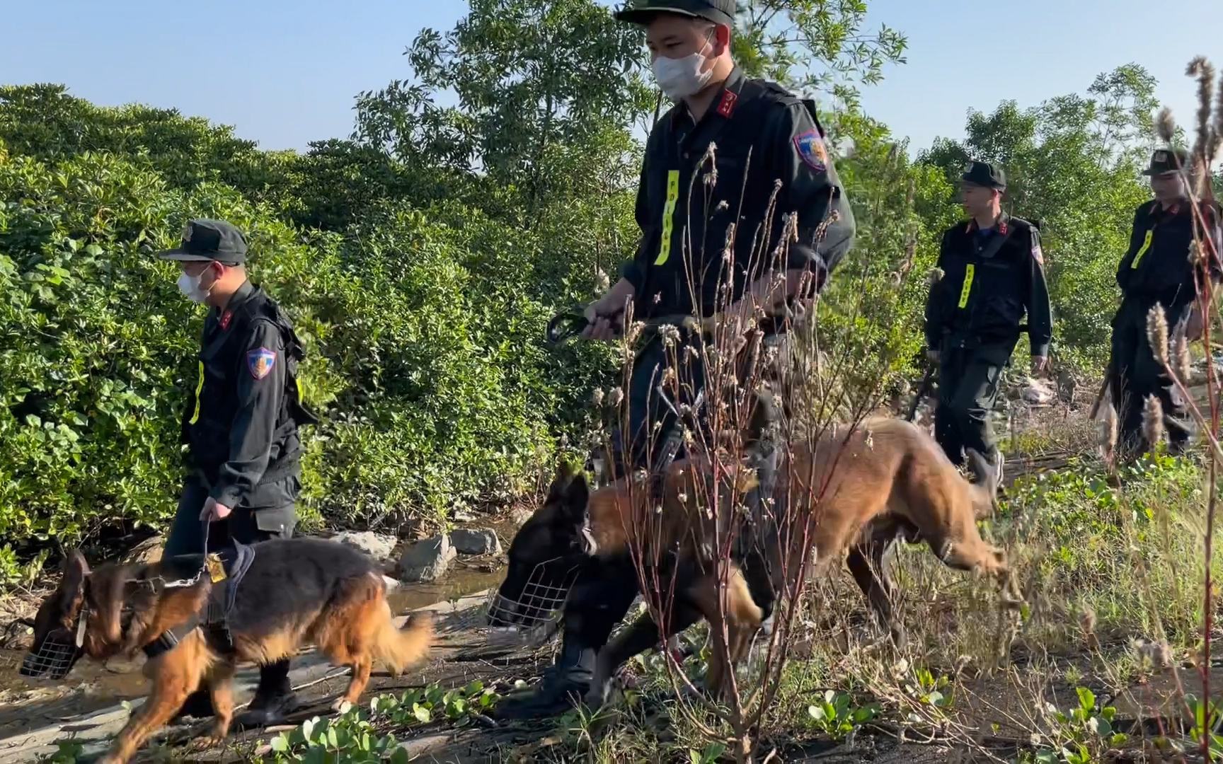 Truy bắt 2 phạm nhân trốn trại: Hàng trăm cảnh sát Hà Tĩnh cùng chó nghiệp vụ 