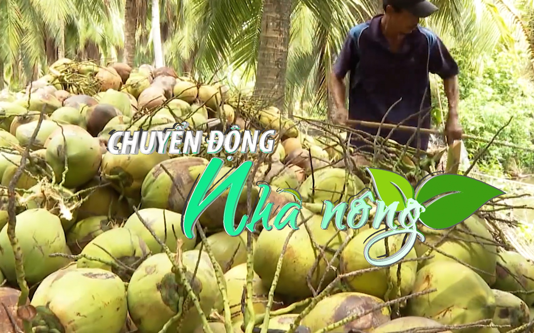 Chuyển động Nhà nông 23/2: Đề nghị Trung Quốc mở cửa với trái dừa tươi Việt Nam