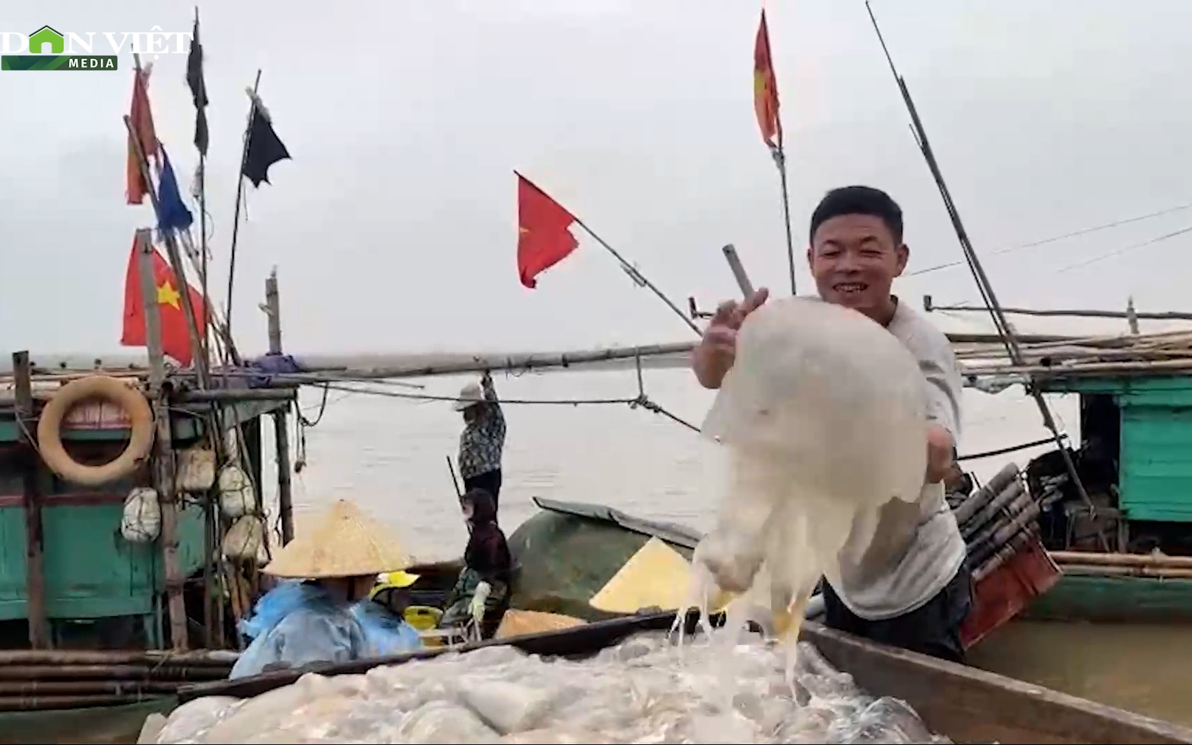 Giá sứa đầu mùa tăng cao, ngư dân Thanh Hóa ra khơi thu nửa chục triệu mỗi bè