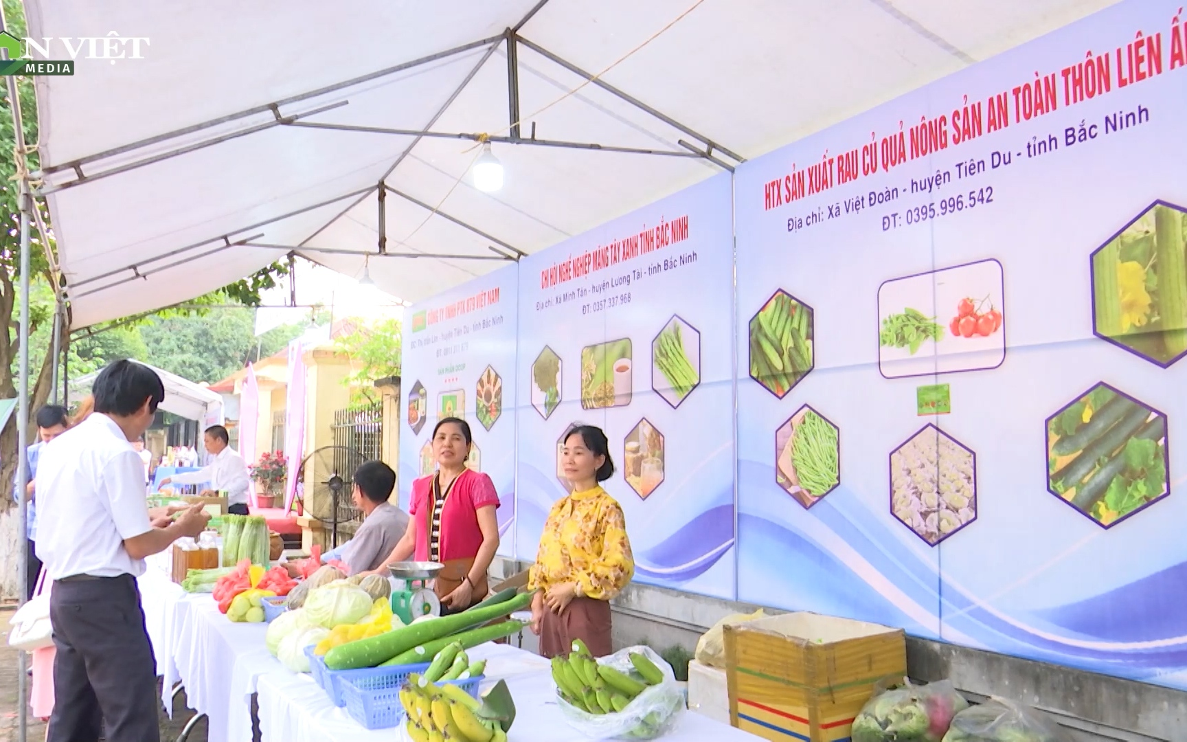 Bắc Ninh: HTX Liên Ấp ứng dụng khoa học kỹ thuật sản xuất rau an toàn cho năng suất cao, hiệu quả kinh tế lớn