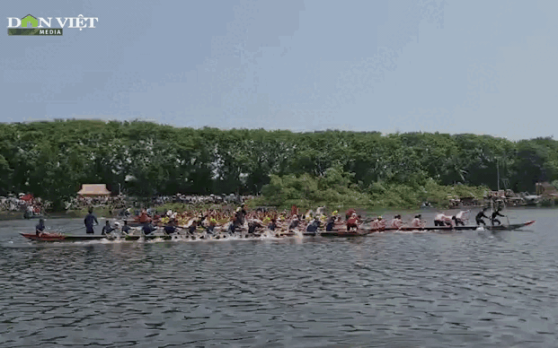 Vận động viên “xé nước” tranh giải đua thuyền mùa hoa sưa 2023 tại Tam Kỳ