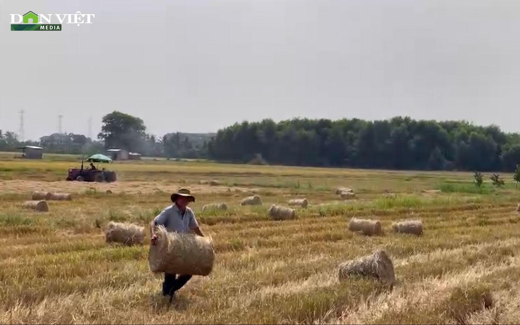 Đồng Nai: Người trồng lúa tận dụng rơm rạ bán, ủ phân, phủ cây, làm nấm