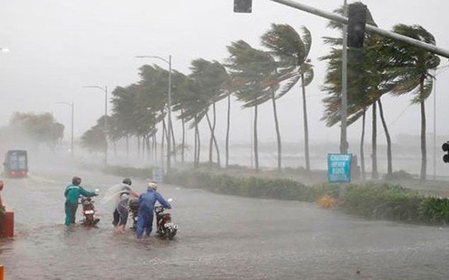 Video: Yêu cầu các tỉnh thành chủ động ứng phó với bão Talim