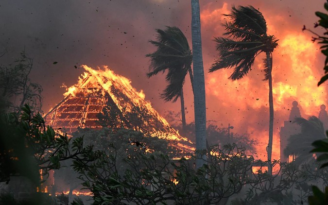 Clip: Tổng thống Mỹ tuyên bố tình trạng thảm họa tại Hawaii sau trận cháy rừng kinh hoàng