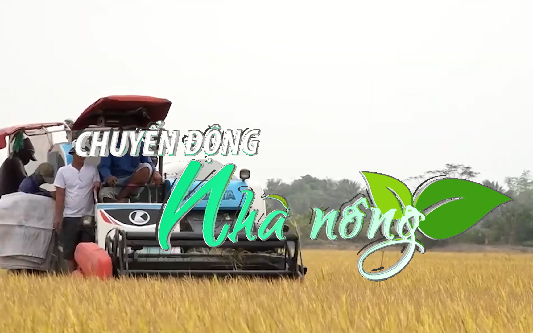 Chuyển động Nhà nông 2/9: Hiêp hội Lương thực Việt Nam kiến nghị áp giá sàn với gạo xuất khẩu