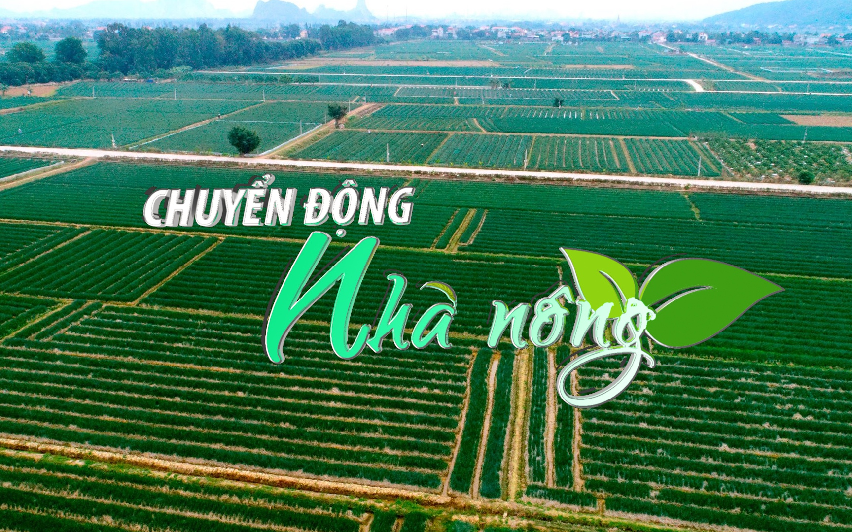 Chuyển động Nhà nông 12/9: Thị xã Kinh Môn (Hải Dương) hỗ trợ phân bón hữu cơ cho 75 ha tỏi vụ đông