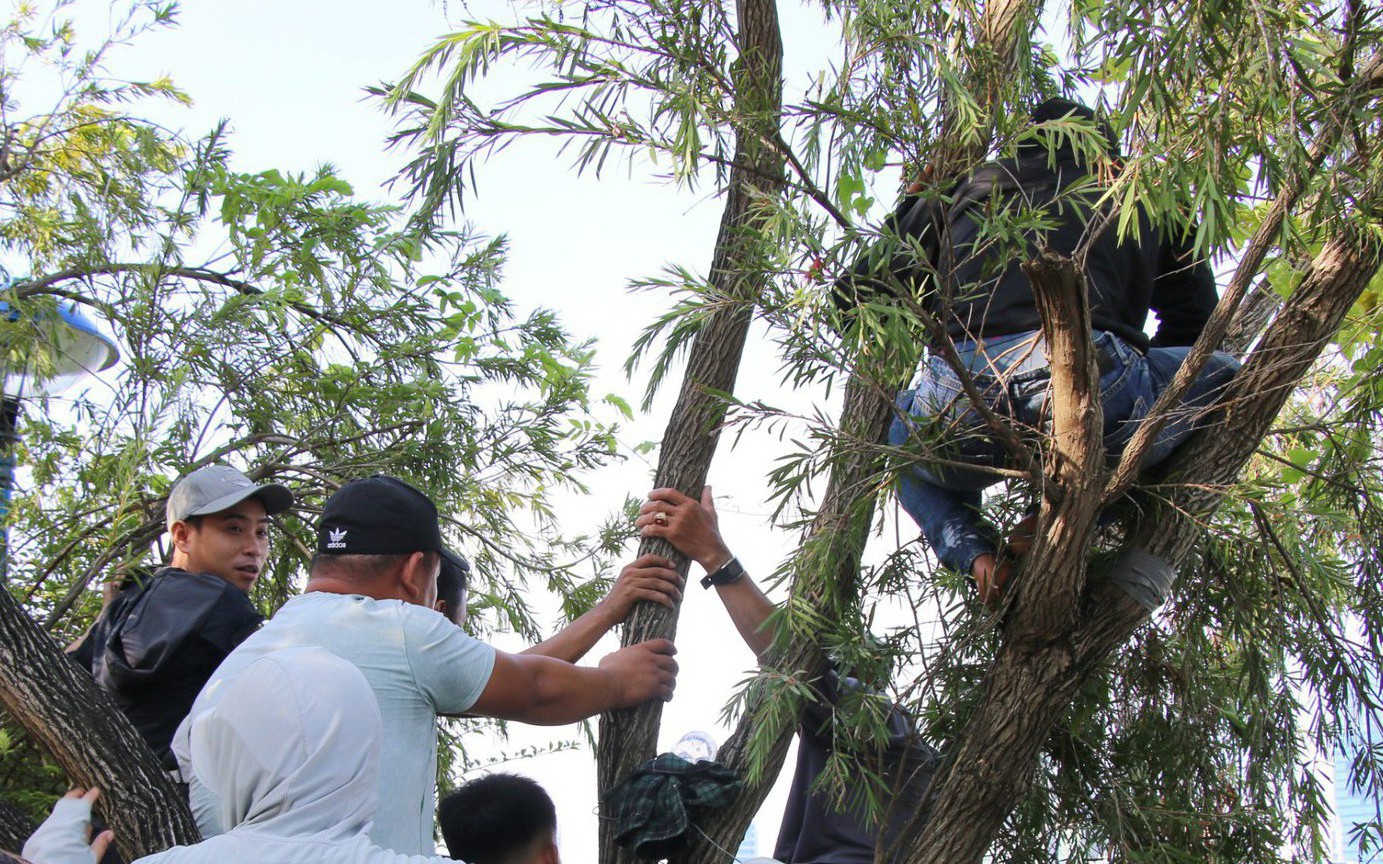 Người dân đội nắng, trèo cây cổ vũ đua thuyền tại Đà Nẵng