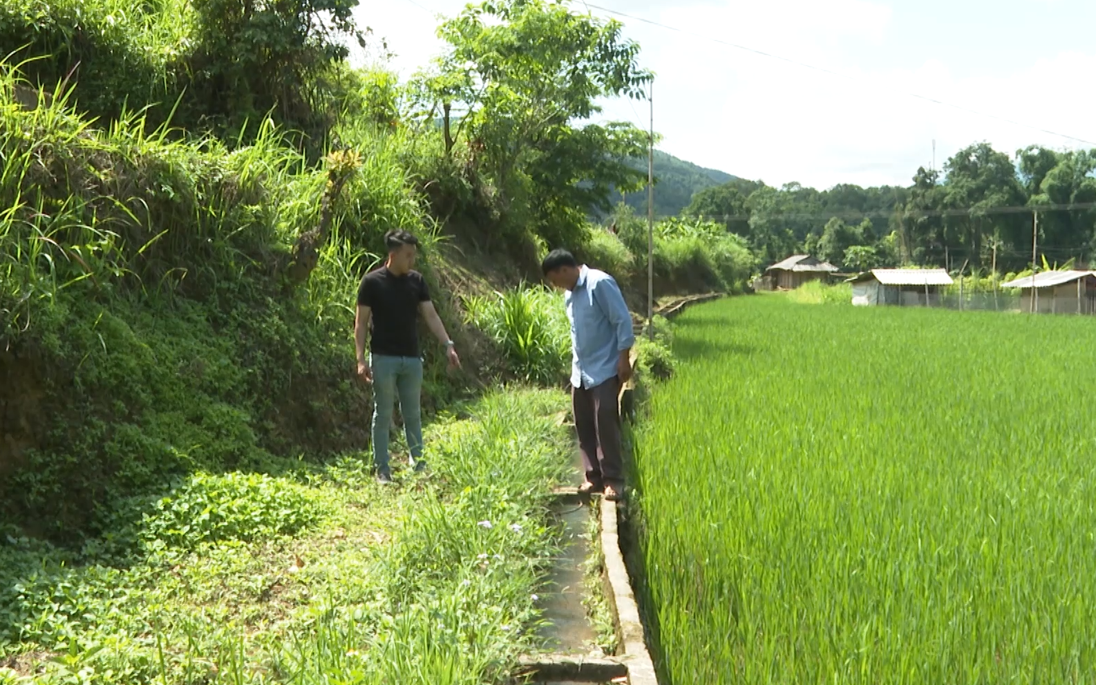 Nhờ cách làm này mà nông dân Lai Châu mở rộng được diện tích canh tác, tăng năng suất cây trồng