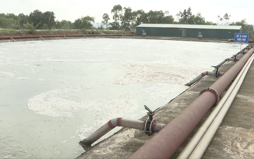 Vụ người dân Ninh Bình bị "tra tấn" bởi tình trạng ô nhiễm: Kết quả kiểm tra có rò rỉ nước thải ra môi trường