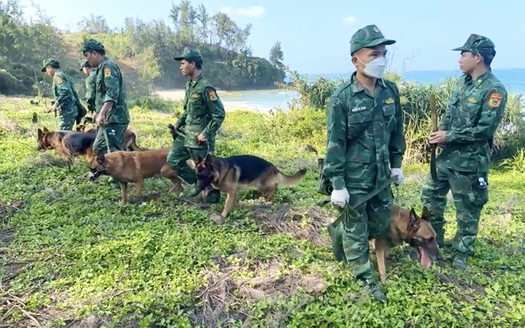Video: Đưa đội cảnh khuyển sục sạo từng lùm cây bụi cỏ truy tìm ma túy trôi dạt vào bờ biển Quảng Ngãi