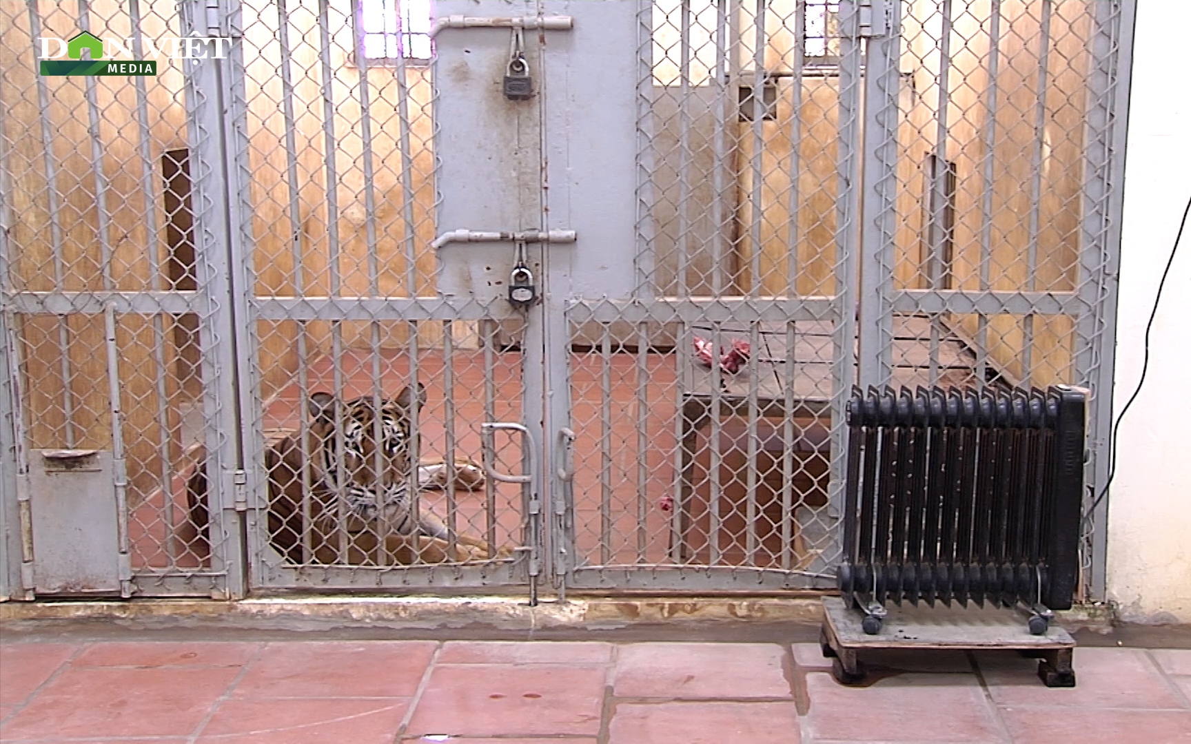 Giữ ấm cho động vật ở Vườn thú Hà Nội: Máy sưởi, bình nóng lạnh bật hết công suất