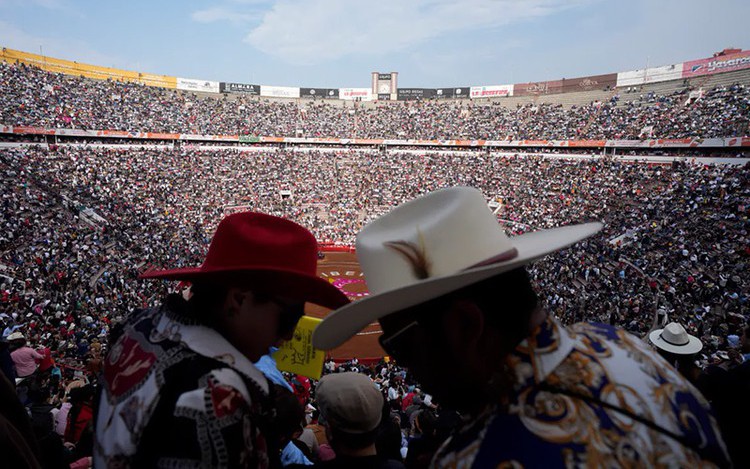 Đấu bò lớn nhất thế giới ở Mexico vẫn diễn ra, thu hút hàng vạn khán giả dù bị phản đối mạnh mẽ