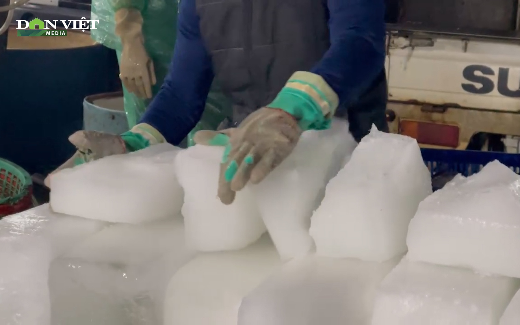 Video: Tiểu thương chợ cá Yên Sở ngâm tay trong nước đá mưu sinh trong cái lạnh cắt da cắt thịt ở Hà Nội