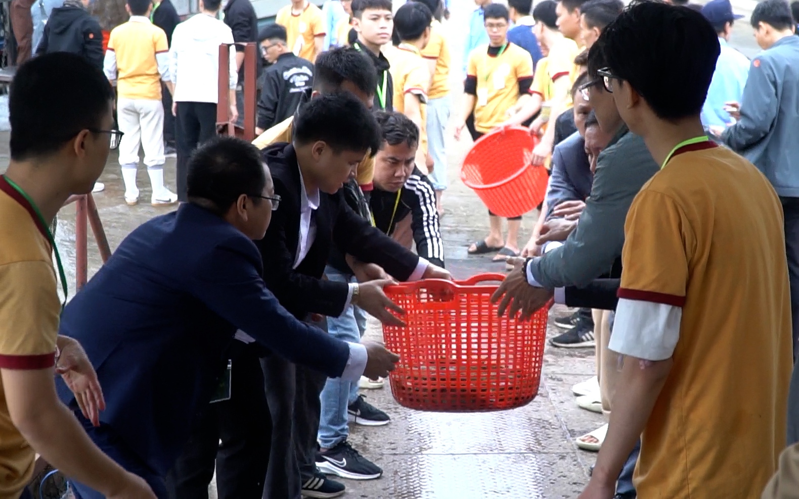Video: Hơn 7 tấn cá giống được phóng sinh xuống sông Cầu ở Bắc Giang