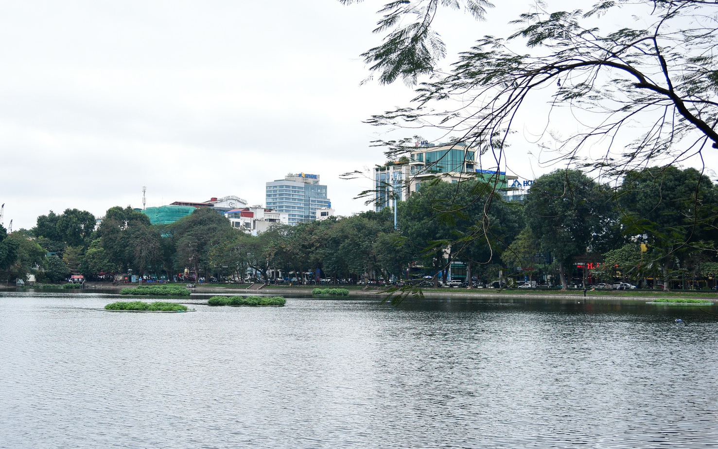 Hiện trạng khu vực hồ rộng gần 5 hec-ta được đề xuất xây 5 quảng trường ở Hà Nội