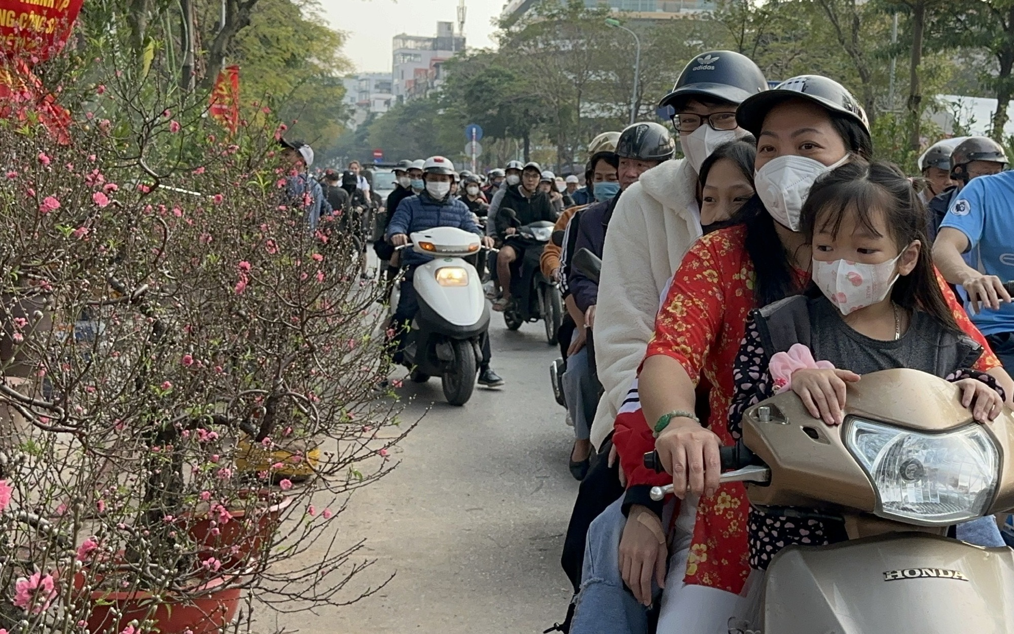 Video: Tranh thủ nắng ấm, người dân Thủ đô nô nức đi mua cây cảnh đón Tết