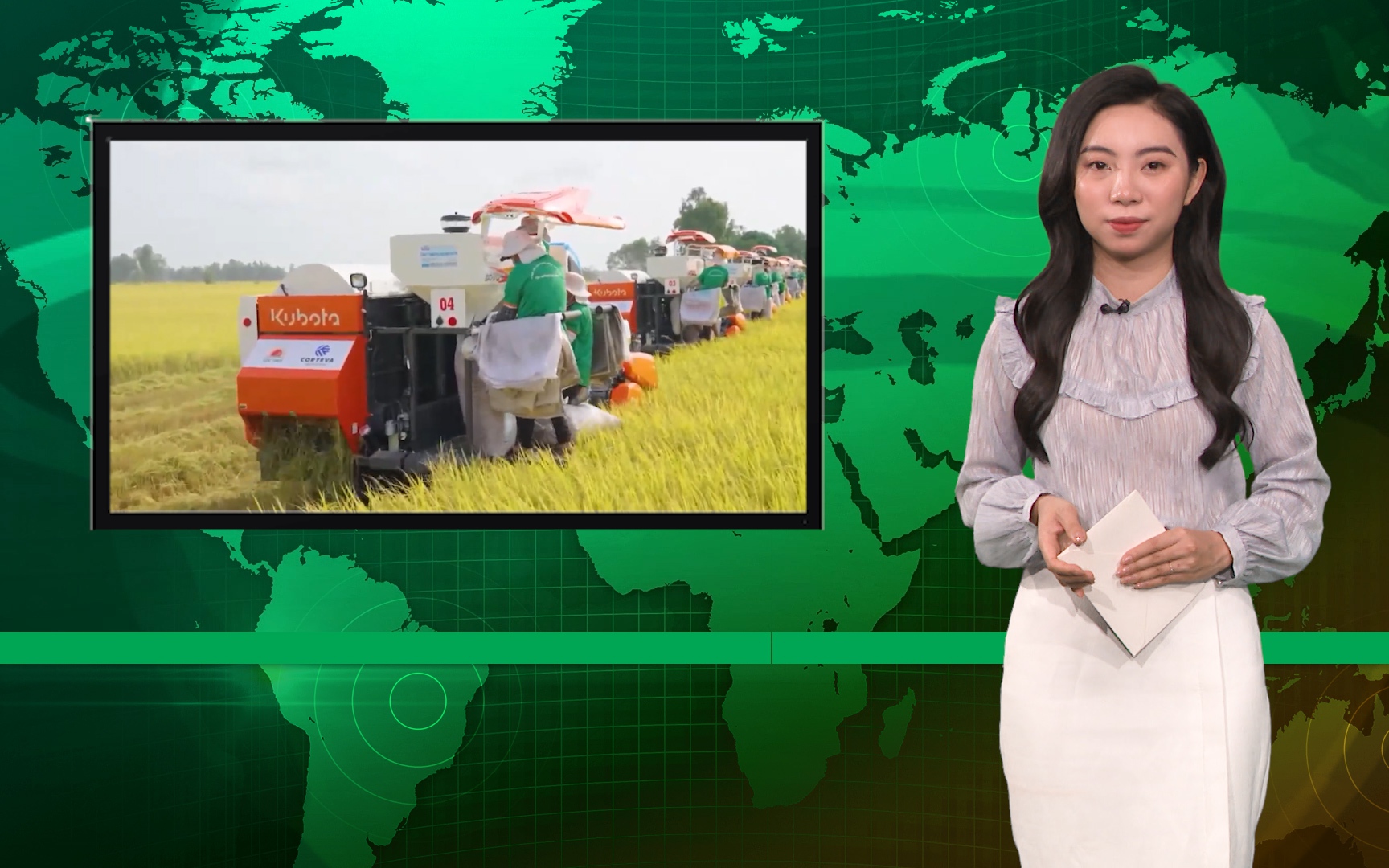 Bản tin Dân Việt Nóng 4/3: Nông dân trồng lúa vẫn có lãi dù giá bán giảm