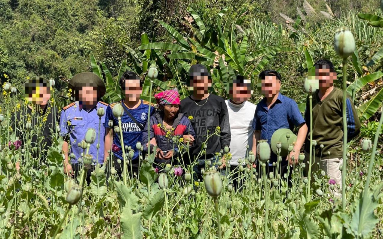 Bắt giữ đối tượng trồng hơn 3.200 cây thuốc phiện trong rừng sâu ở Lai Châu