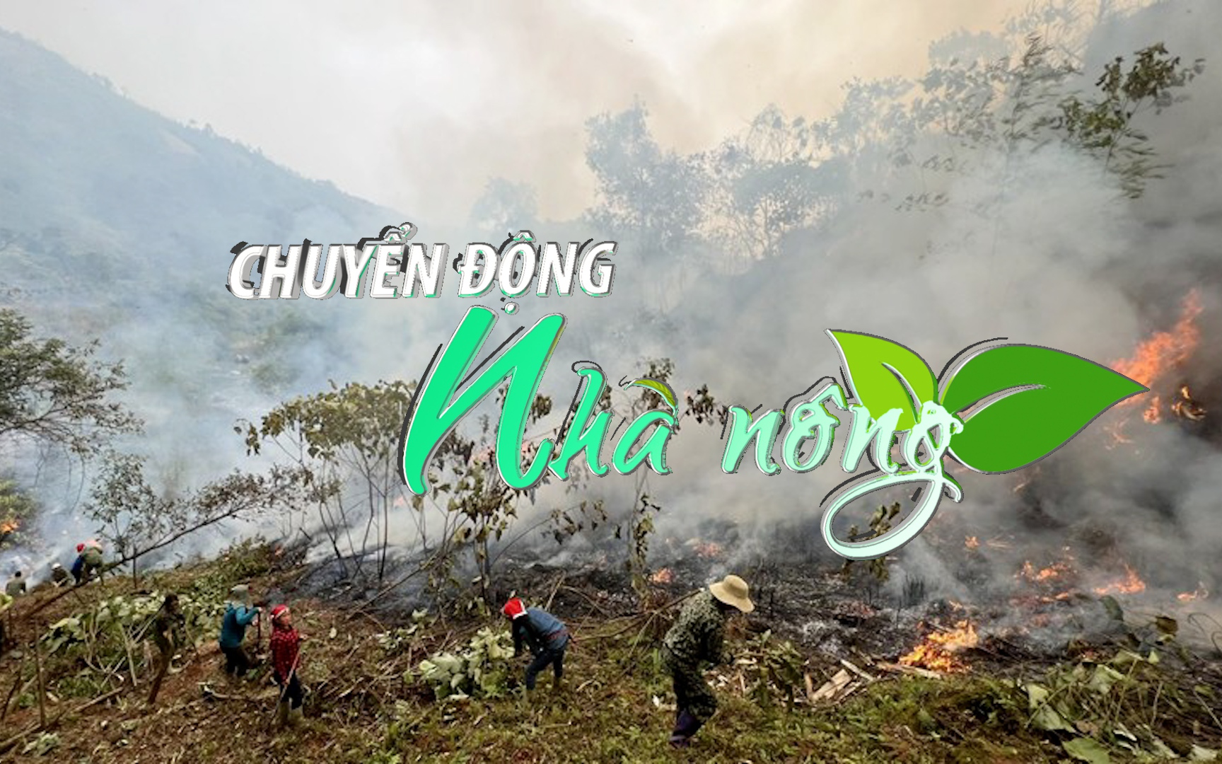 Chuyển động Nhà nông 6/3: Lào Cai nâng cấp độ phòng, chống cháy rừng 