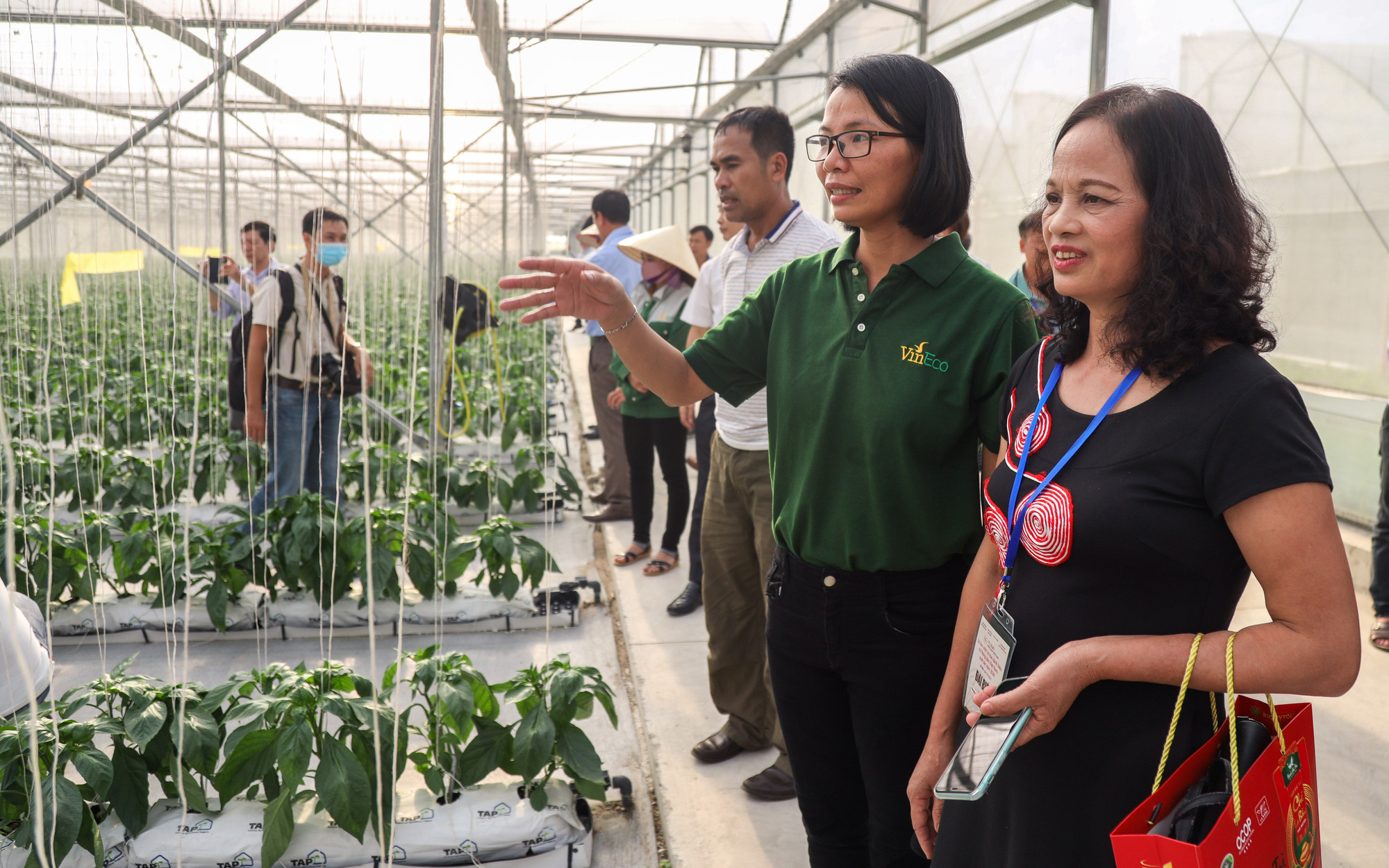 Ảnh: 63 Nông dân Việt Nam xuất sắc hào hứng thăm nông trường VinEco Hải Phòng