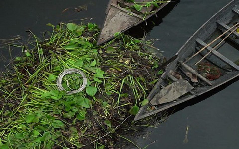 Những nông trại nổi trên mặt nước đã giúp nông dân Bangladesh đối phó với ngập lụt ra sao?