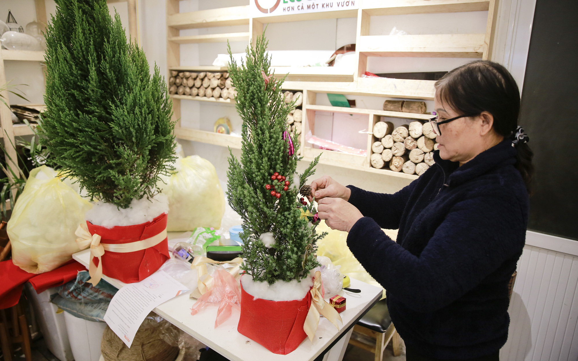 Giá chỉ từ 100.000 đồng, “bản sao” của cây thông thật đắt khách dịp Giáng sinh 2020