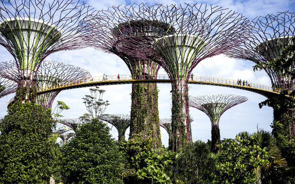 Khu vườn nhân tạo đẹp lộng lẫy tựa thiên đường ở Singapore