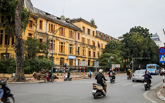 Video: Có 2 cây sưa đỏ quý hiếm trong số 40 cây xanh bị di chuyển, chặt hạ trên phố Trần Hưng Đạo