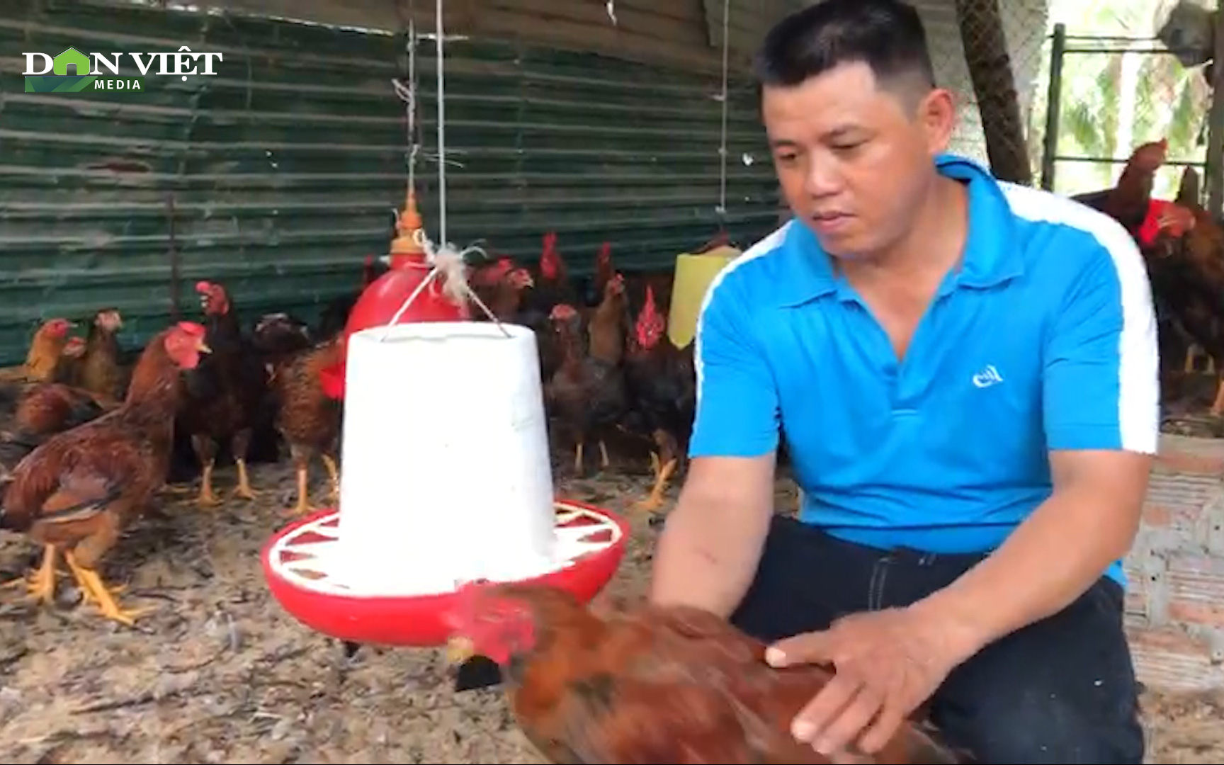 Chàng trai trẻ ở Khánh Hòa thu nhập tiền tỷ nhờ nuôi gà, nuôi heo