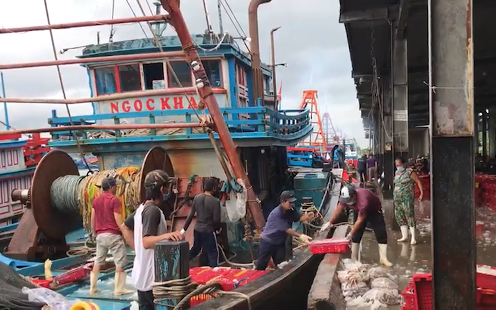 Ngư dân Khánh Hòa hối hả bán tháo hải sản tránh áp thấp