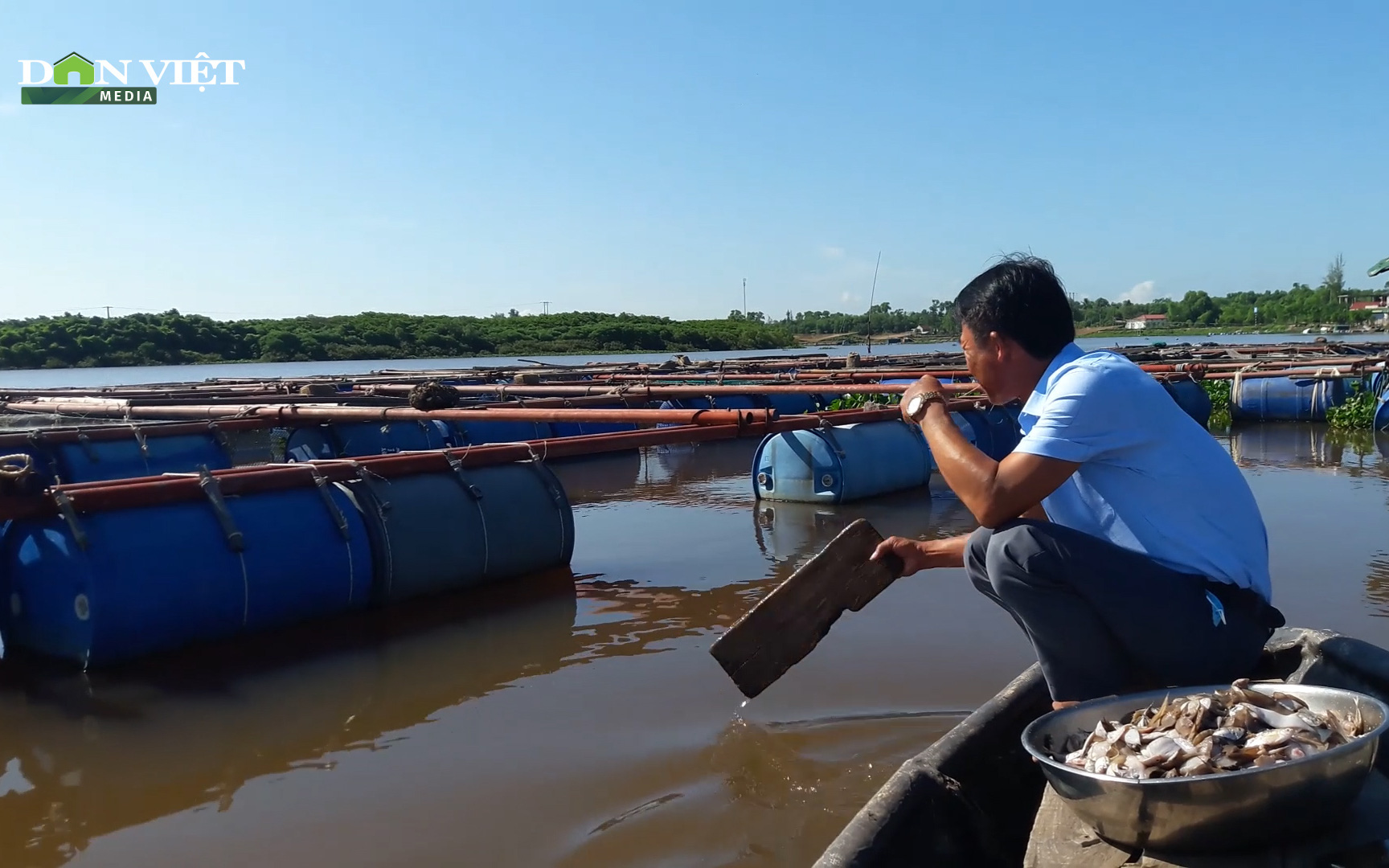 Hà Tĩnh: Gần 25 tấn cá vược ở Thạch Sơn mỏi mòn chờ khách đến thu mua
