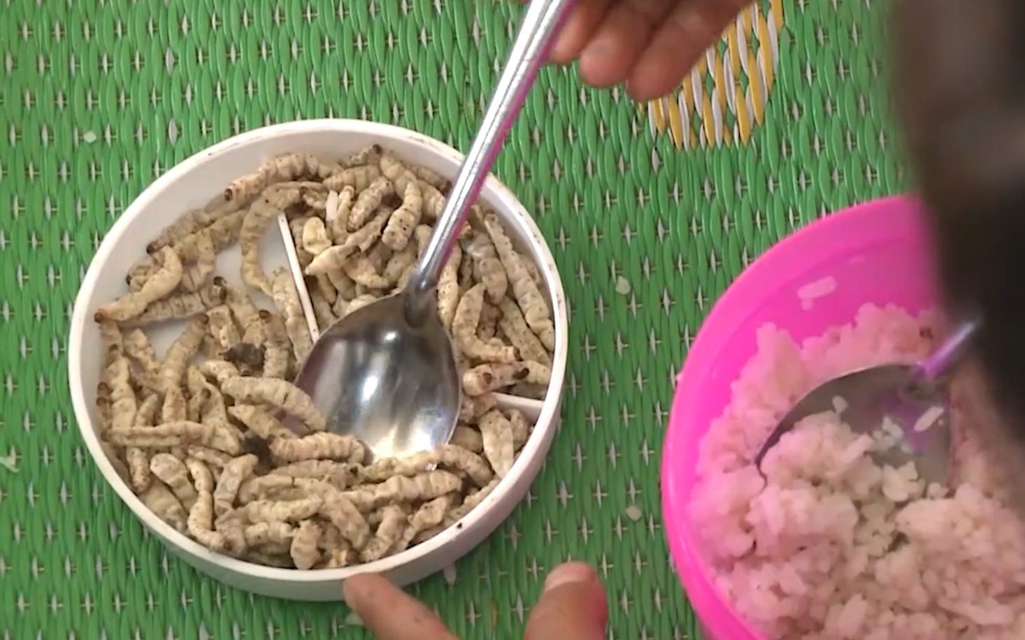 Sốc với bữa cơm của các em học sinh vùng nông thôn mới: Chỉ toàn là ốc, lá mì và sâu 