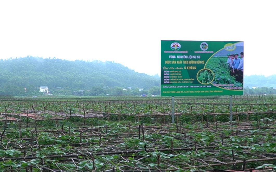 Video: Sản xuất nông nghiệp hữu cơ - xu hướng của nền nông nghiệp bền vững 
