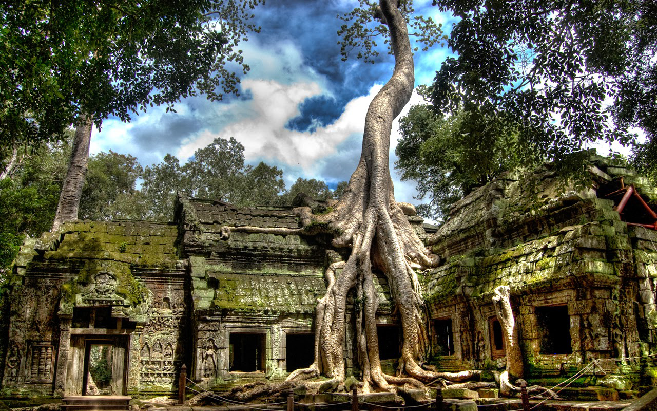 Video: Ngôi đền cổ ở Campuchia được bao phủ bởi cây cối