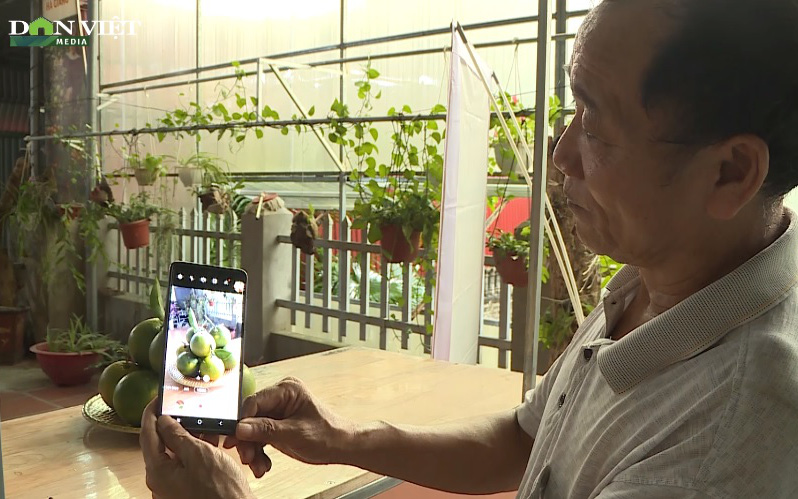 Livestream bán hàng qua mạng, nông dân Hà Giang xuất bán hàng chục tấn cam đi các tỉnh thành