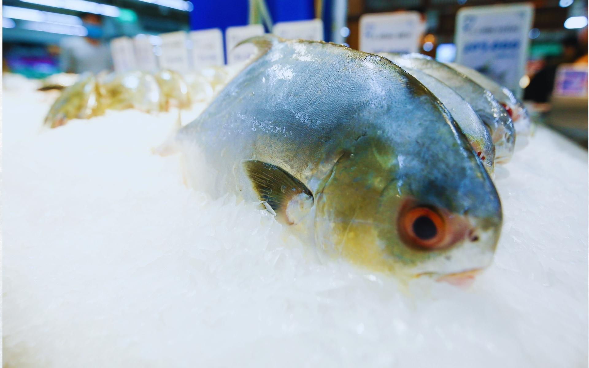 Quy trình chuẩn “chuỗi lạnh” của các sản phẩm hải sản từ khi đánh bắt cho tới bàn ăn gia đình