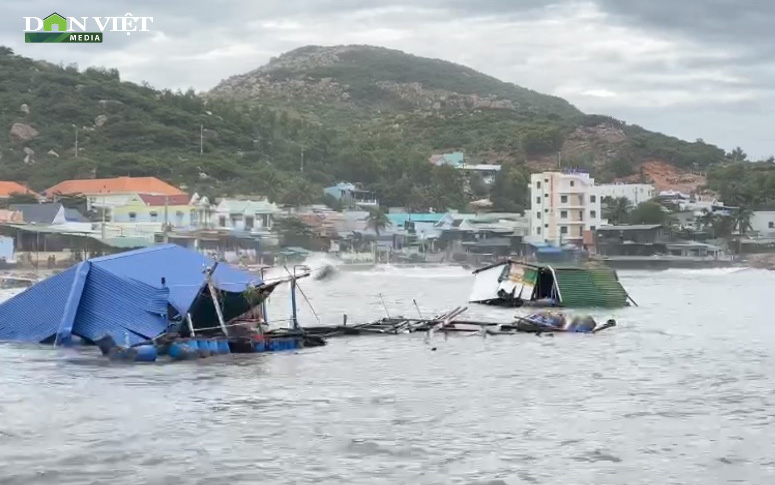 Video: Bão số 9 cuốn trôi hàng trăm lồng nuôi thủy sản ở Khánh Hòa, thiệt hại hàng tỷ đồng