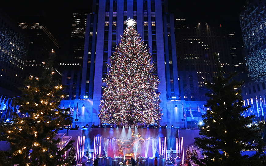 Cây thông Noel được thắp sáng bằng 50.000 đèn LED, 3 triệu viên pha lê