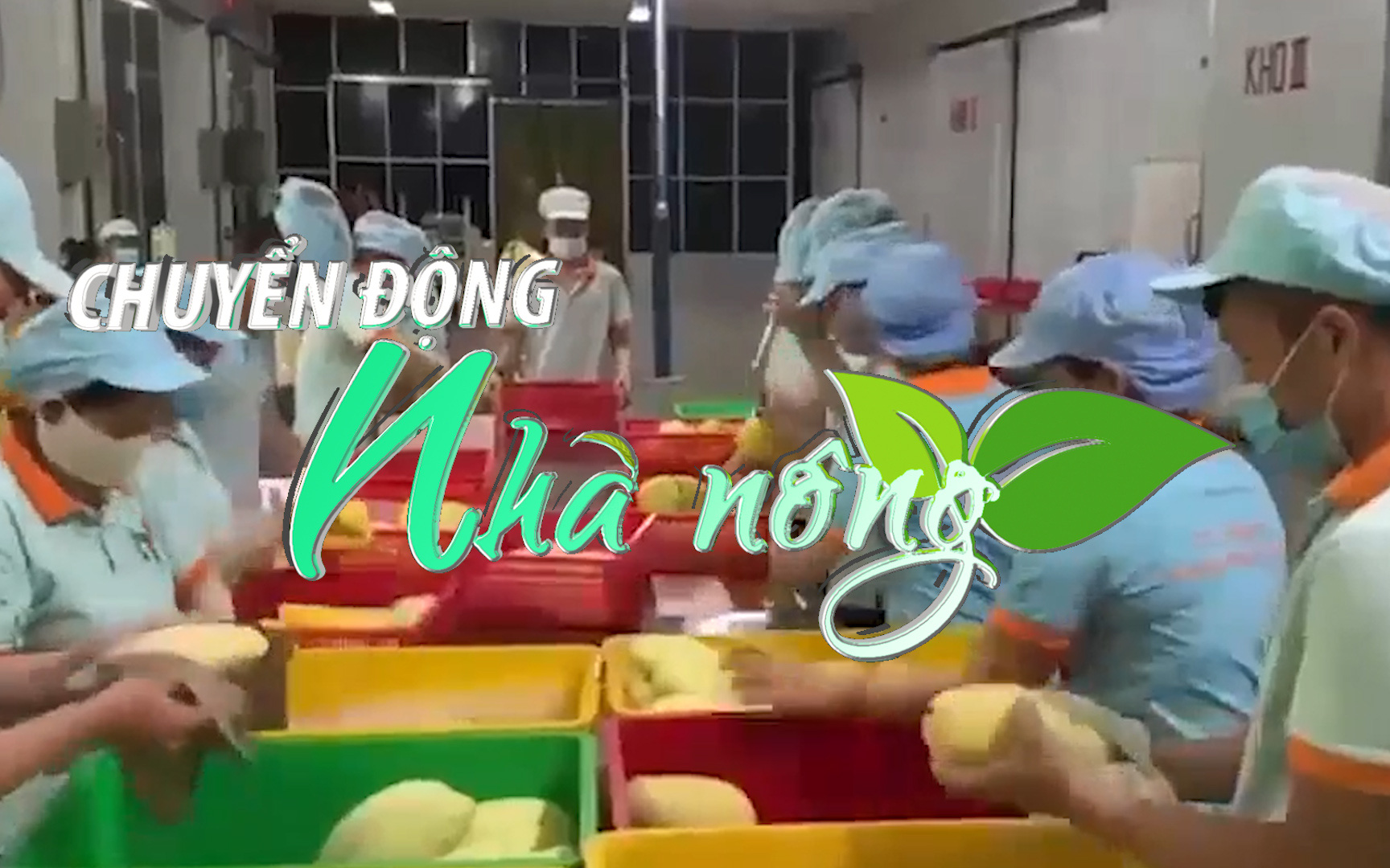Chuyển động Nhà nông 27/12: Hơn 1.000 mã sản phẩm nông, thủy sản Việt Nam được xuất sang Trung Quốc