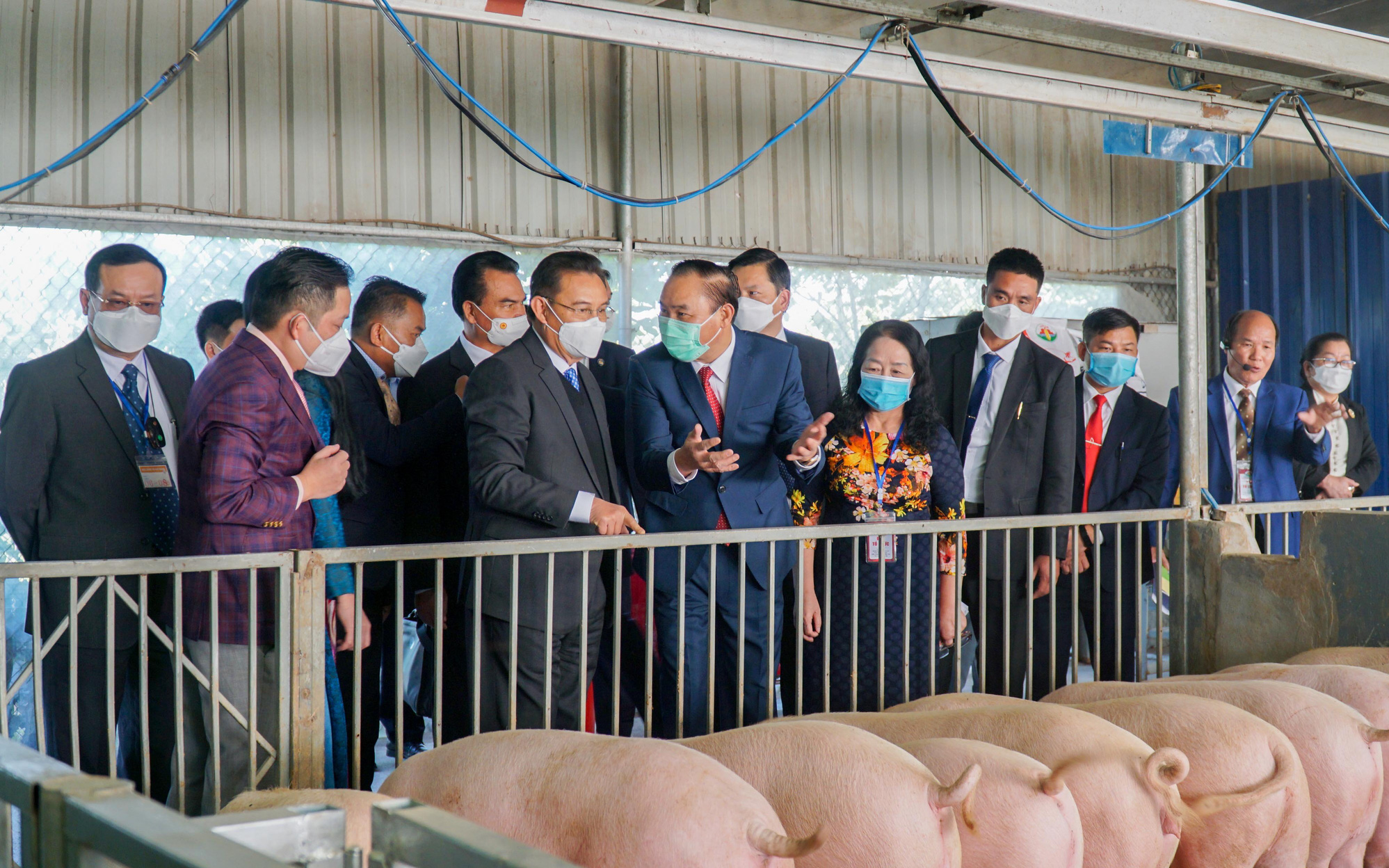 Chủ tịch Quốc hội Lào mong muốn Việt Nam đầu tư chuyển giao công nghệ nông nghiệp hữu cơ tại Lào
