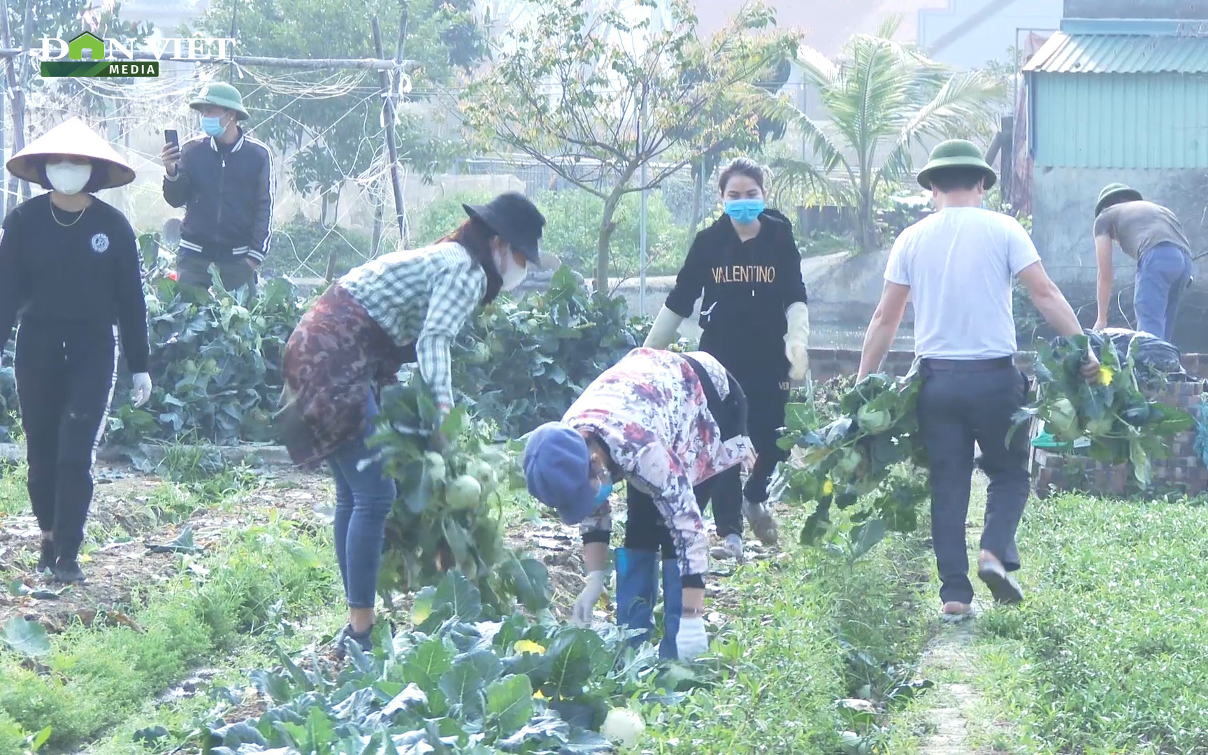 Hải Dương: Gỡ khó giúp nông dân, huyện Tứ Kỳ hỗ trợ tiêu thụ hàng nghìn tấn nông sản trong mùa dịch 