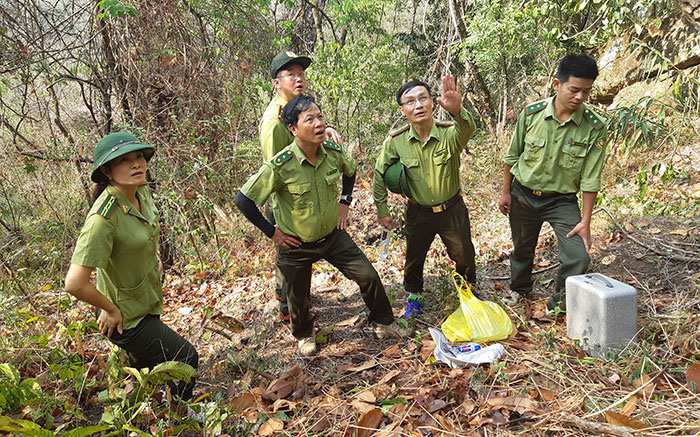 Quy hoạch 3 loại rừng Điện Biên sẽ đạt 700.000 ha năm 2030