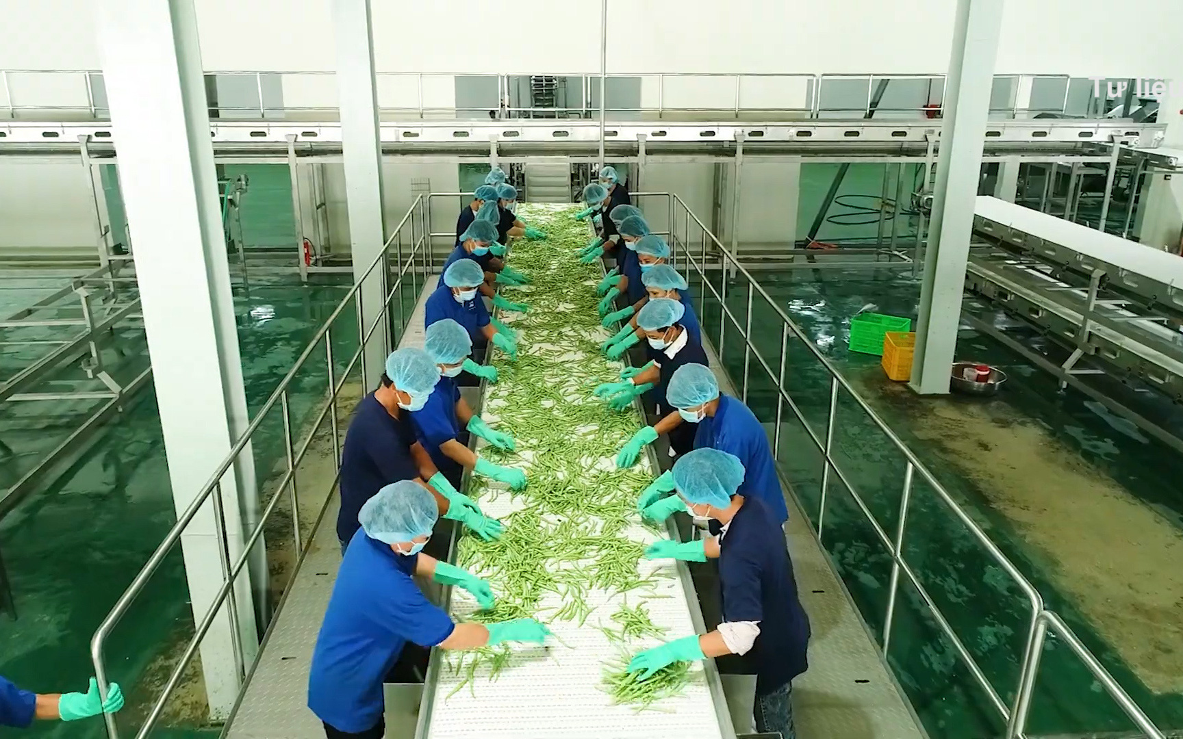 Mục tiêu đến năm 2030: Giá trị kim ngạch xuất khẩu rau quả Việt Nam đạt 8 - 10 tỷ USD