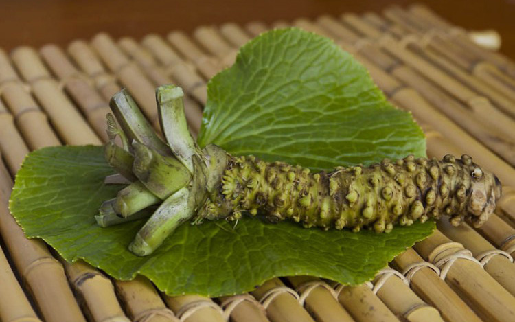 Wasabi - Loại cây khó trồng nhất thế giới