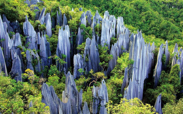 Lạc vào mê cung rừng đá 270 triệu năm tuổi rộng tới... 420 km2