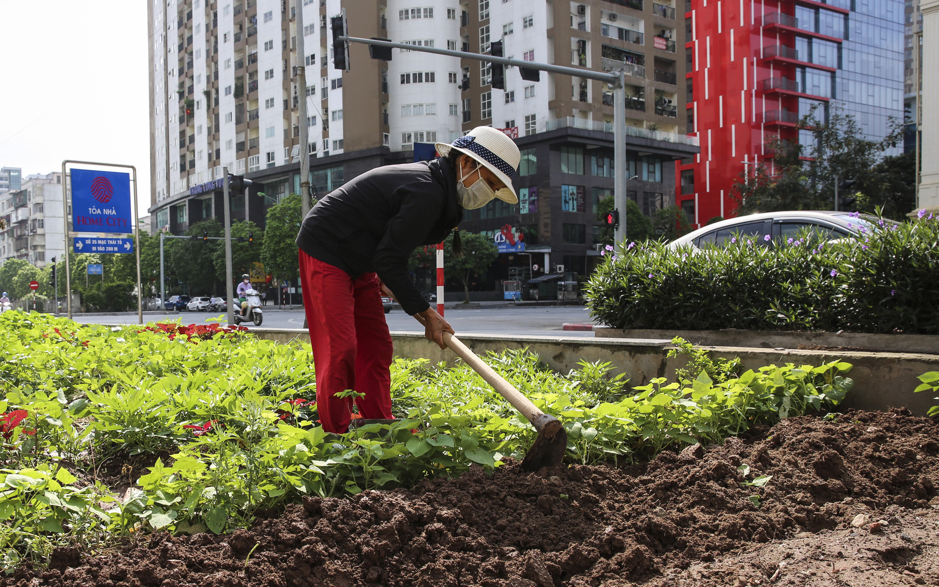 Lạ: Cảnh người Hà Nội trồng rau sạch vào ô đất ven đường để chống đổ trộm phế thải