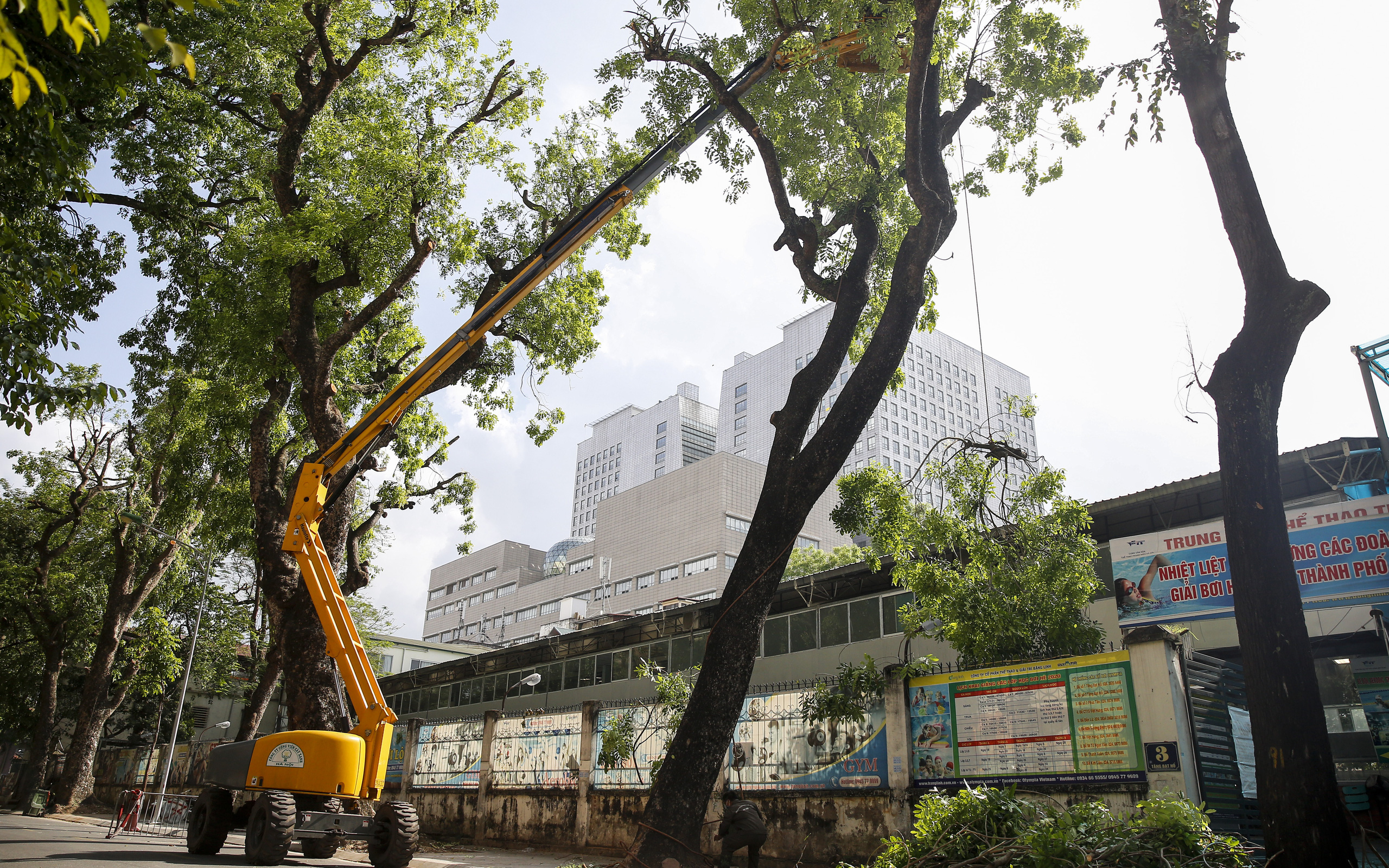 Hà Nội: Dùng xe nâng người dài 26 mét cắt tỉa hơn 20.000 cây xanh nguy hiểm