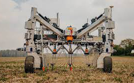 Dùng Robot diệt cỏ dại bằng cách phóng điện thế lên đến 8.000 
