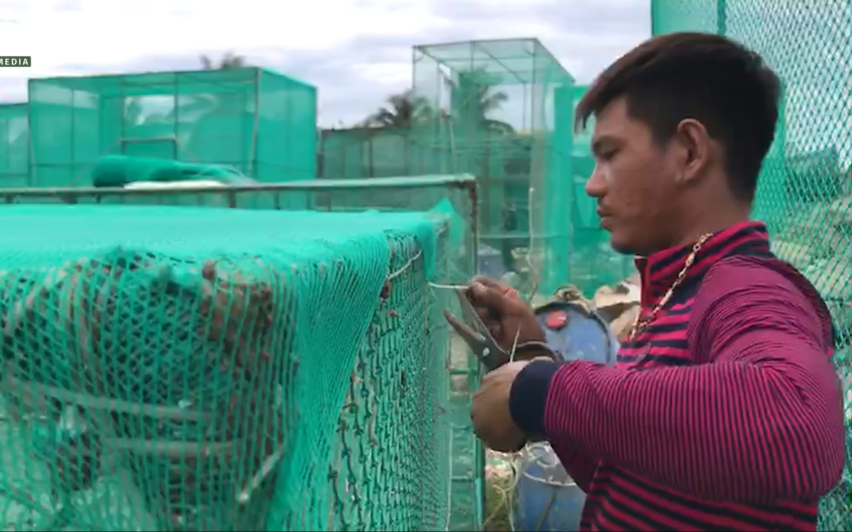 Khánh Hòa: Nghề may lưới phục vụ nuôi trồng thủy hải sản thu hút nhiều lao động nông thôn 